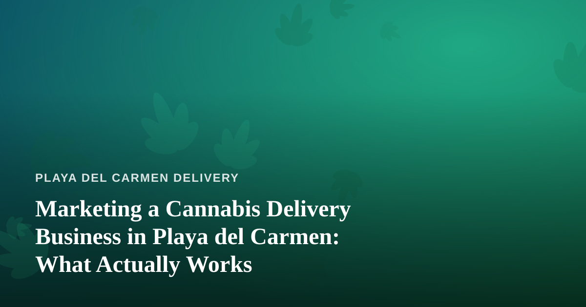Marketing a Cannabis Delivery Business in Playa del Carmen: What Actually Works