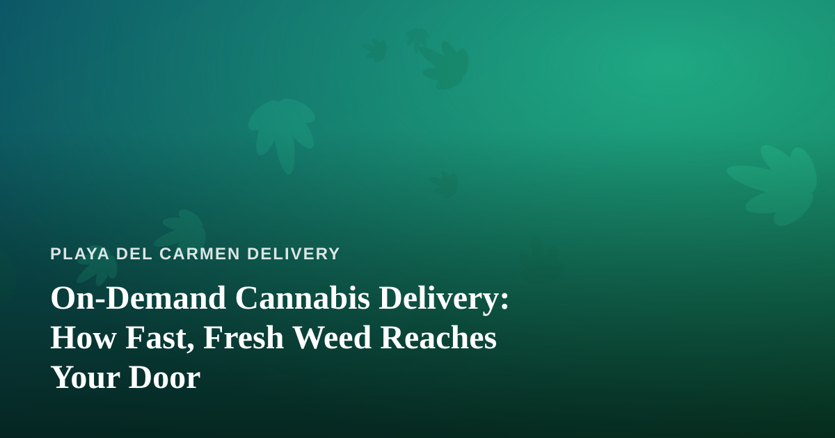On-Demand Cannabis Delivery: How Fast, Fresh Weed Reaches Your Door