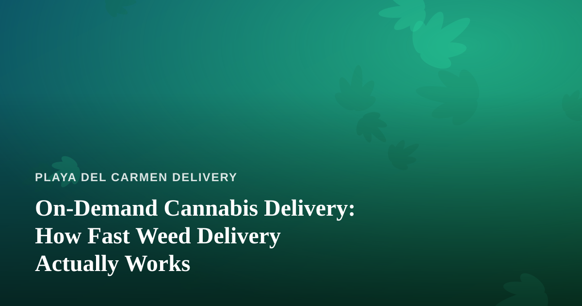 On-Demand Cannabis Delivery: How Fast Weed Delivery Actually Works