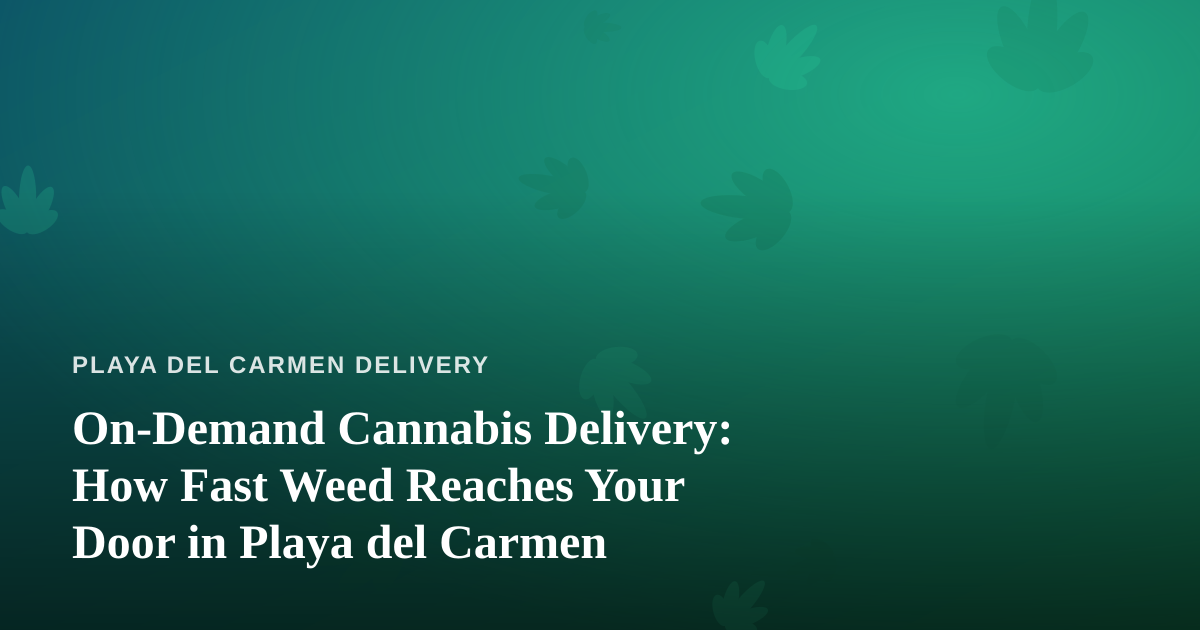 On-Demand Cannabis Delivery: How Fast Weed Reaches Your Door in Playa del Carmen