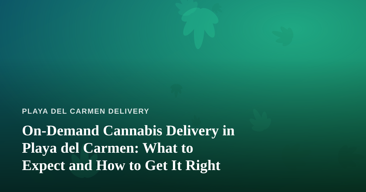 On-Demand Cannabis Delivery in Playa del Carmen: What to Expect and How to Get It Right