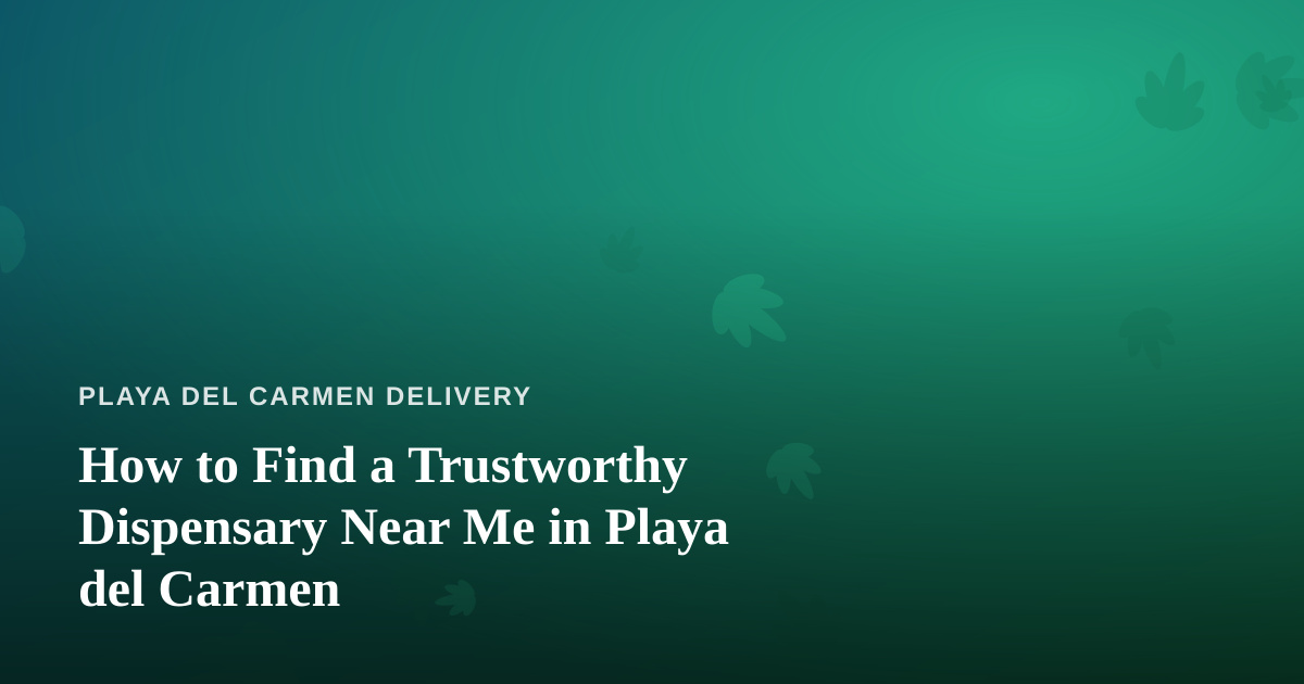 How to Find a Trustworthy Dispensary Near Me in Playa del Carmen