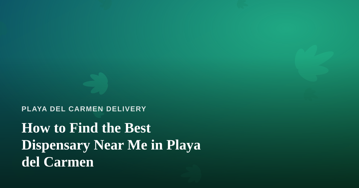 How to Find the Best Dispensary Near Me in Playa del Carmen