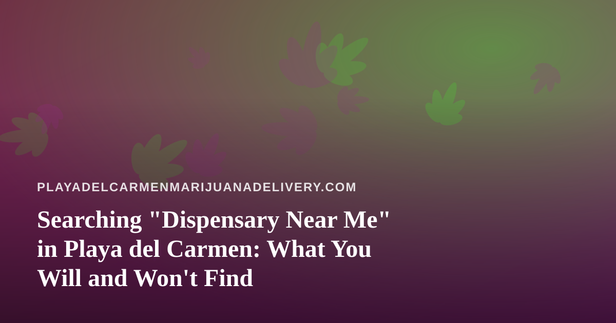 Searching “Dispensary Near Me” in Playa del Carmen: What You Will and Won’t Find